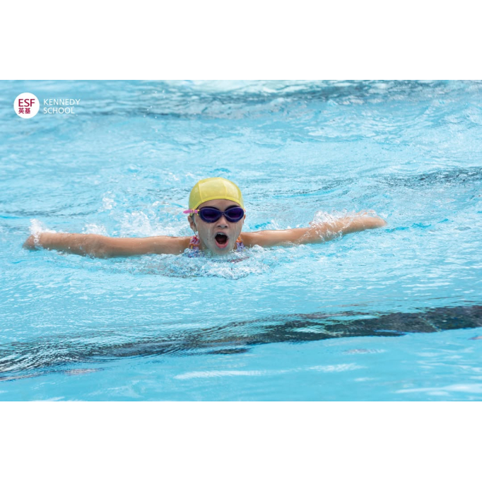 570482381_1305429838263931_832222590099178468_n