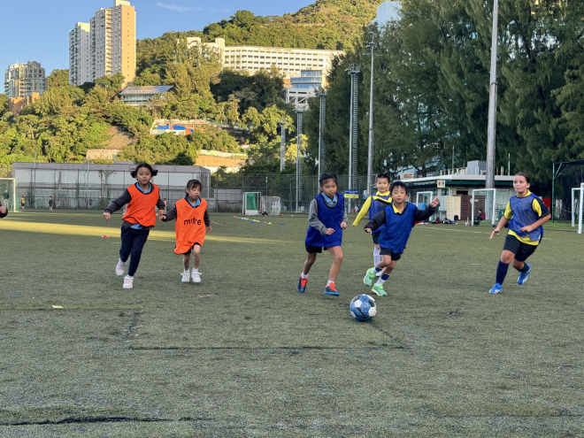 am football and AFL (7)